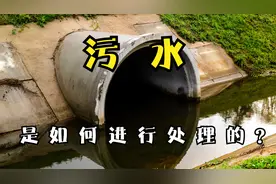 2分钟带你了解，日常生活中的城市污水是如何处理的？视频封面