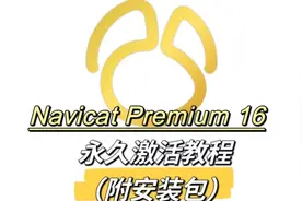 【Navicat 16】绿色安装及永久激活教程视频封面
