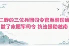 二野三位兵团司令建国后不是军区司令，成就却更大，官至副国级视频封面