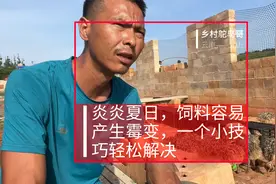 炎炎夏日，饲料容易产生霉变，这个方法可以处理轻微的饲料霉变视频封面