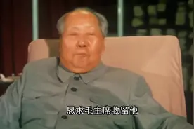 1937年，刺杀蒋介石的华克之来到延安，毛主席说：你不能留在这里视频封面