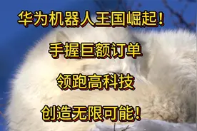 华为机器人王国崛起！手握巨额订单，领跑高科技，创造无限可能！视频封面