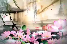 属狗人，听我一句劝：须警惕，请三思，三思，再三思视频封面