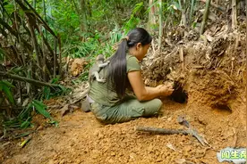 女子独自上山打猎，意外听到地下神秘怪声，挖掘后竟发现惊喜连连视频封面