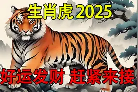 2025年生肖虎：1月-12月综合运势分析。视频封面