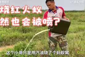 乐山大佛都该起来，让圣母来坐视频封面