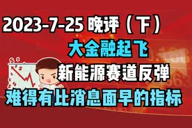大金融起飞，新能源赛道反弹，难得有比消息面早的指标视频封面