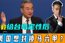 王毅给台岛定性后，台当局提一个要求，特朗普要“封锁”马六甲？视频封面
