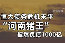 恒大债务危机未平，“河南猪王”被爆负债1000亿，企业负债狂飙年视频封面