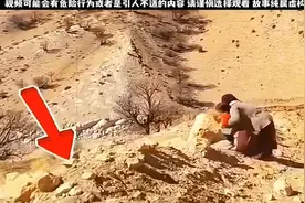 藏马熊竟会伪装成人打招呼，背后真相细思极恐！视频封面