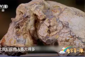 为啥说百万年前的郧县人是大方脸视频封面