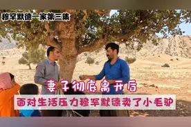 妻子彻底离开后，面对生活的压力穆罕默德卖了家里唯一的小毛驴。视频封面