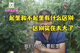 种植蔬菜起垄和不起垄有什么区别？区别太大了，你还不重视吗视频封面