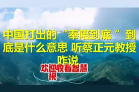 中国打出的“奉陪到底 ”到底是什么意思 ，听蔡正元教授咋说