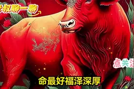 3大属相，命最好，福泽深厚，看看有没有你？视频封面