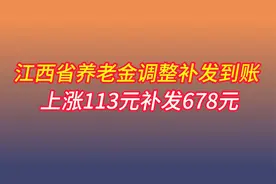 江西省养老金调整补发到账， 上涨113元补发678元，什么水平视频封面
