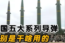 红旗、霹雳、东风、巨浪、鹰击，中国五大系列导弹分别是干什么用