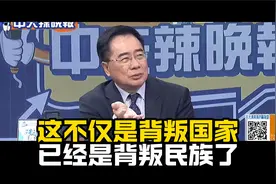 蔡正元：这是背叛民族的行为！栗正杰：不是歼35，更可能是轰20！视频封面