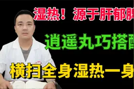 湿热源于肝郁脾虚，逍遥丸巧搭配，祛除湿热一身轻视频封面