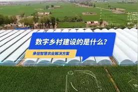 数字乡村建设的是什么？视频封面
