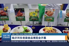 临沂河东首届食品博览会开幕，三大展区好物不断，全方位展示好品视频封面