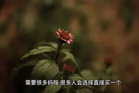 抖音的荣誉等级有什么用呢