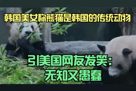 韩国美女称熊猫是韩国的传统动物，引美国网友发笑：无知又愚蠢视频封面