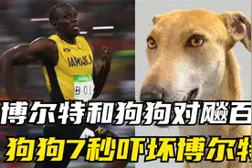 你们见过博尔特和狗狗百米比赛吗？狗狗7秒直接吓坏博尔特视频封面