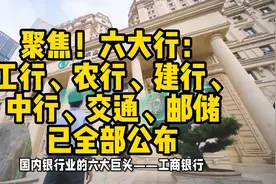 聚焦！六大行：工行、农行、建行、中行、交通、邮储已全部公布视频封面