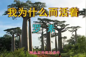 八上语文第16课《我为什么而活着》精品实用高效课件视频