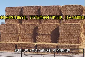 农村也可以年赚百万，五个适合农村干的行业，投入小利润高！视频封面