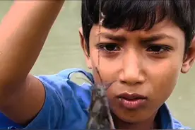 印度小孩不可思议的钓鱼#我的乡村生活 #在农村小河沟里抓鱼 #钓鱼人就是这么疯狂 #真实户外 视频封面