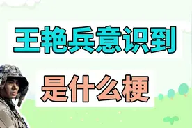 王艳兵这才意识到是什么梗？视频封面
