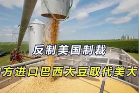 只许美国制裁？中方进口巴西大豆替代美大豆，美担忧丢失中国市场视频封面