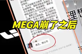 mega崩，纯电停，大裁员，理想最近怎么了视频封面