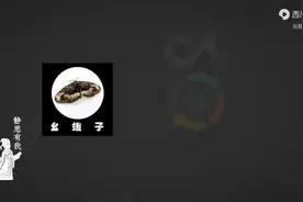 TikTok在美国被打，我有点怕！（2）视频封面