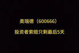 ST瑞德（600666）投资者索赔最后5天视频封面