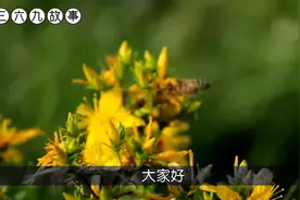 有人说济南城位于阴地，你信吗？城里自古为何有那么多难解之谜？视频封面