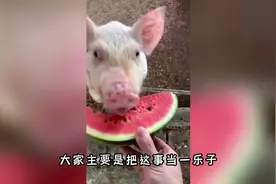 为何印度坚持暴打外国企业？从印度人的视角看看此事视频封面