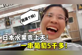 日本水果贵上天，一串葡萄5378日元，露露吓一跳：这谁吃的起？视频封面
