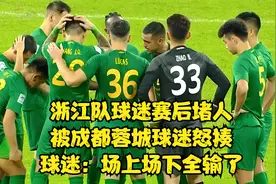 浙江队球迷赛后堵人，被成都蓉城球迷怒揍，球迷：场上场下全输了视频封面