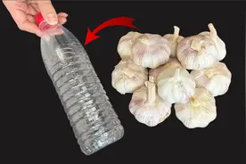 剥大蒜皮原来这么简单，只需1个塑料瓶就搞定，1分钟剥2斤，厉害视频封面