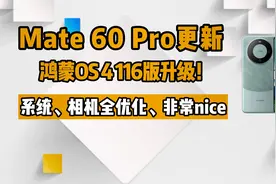 Mate 60 Pro更新鸿蒙OS 4 116版升级！系统、相机全优化非常nice视频封面