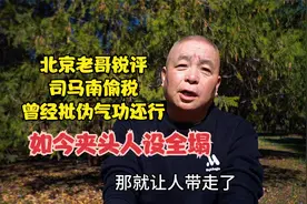 北京老哥锐评司马南偷税，曾经批伪气功还行，如今夹头人设全塌视频封面