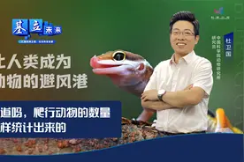 你知道吗，爬行动物的数量是这样统计出来的