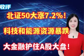 北证50大涨7.2%！科技和能源资源暴跌，大金融护住A股大盘！视频封面