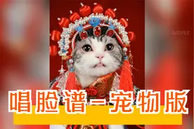 《唱脸谱》蓝脸的窦尔敦盗御马~视频封面