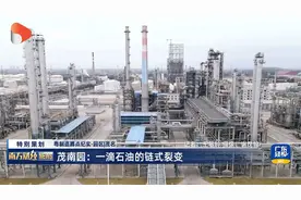 茂南园：一滴石油的链式裂变视频封面