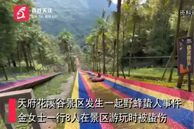 成都一4A景区多名游客被野蜂蜇伤 景区：游客索赔金额过高 正协商