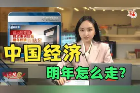 点市成金｜中国经济明年怎么走？积极财政、精准宽松、稳中求进视频封面